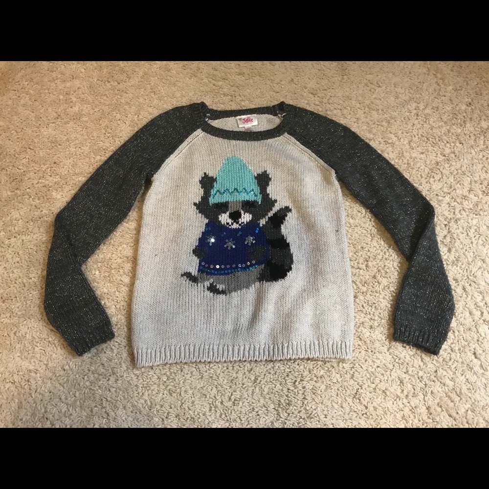 Raccoon Justice Sweater